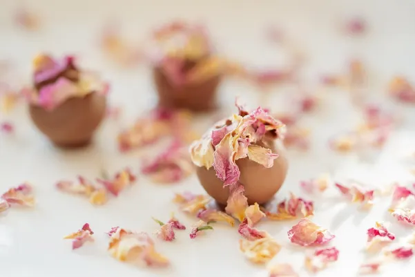 Haiti Win Casino Android/iOS App